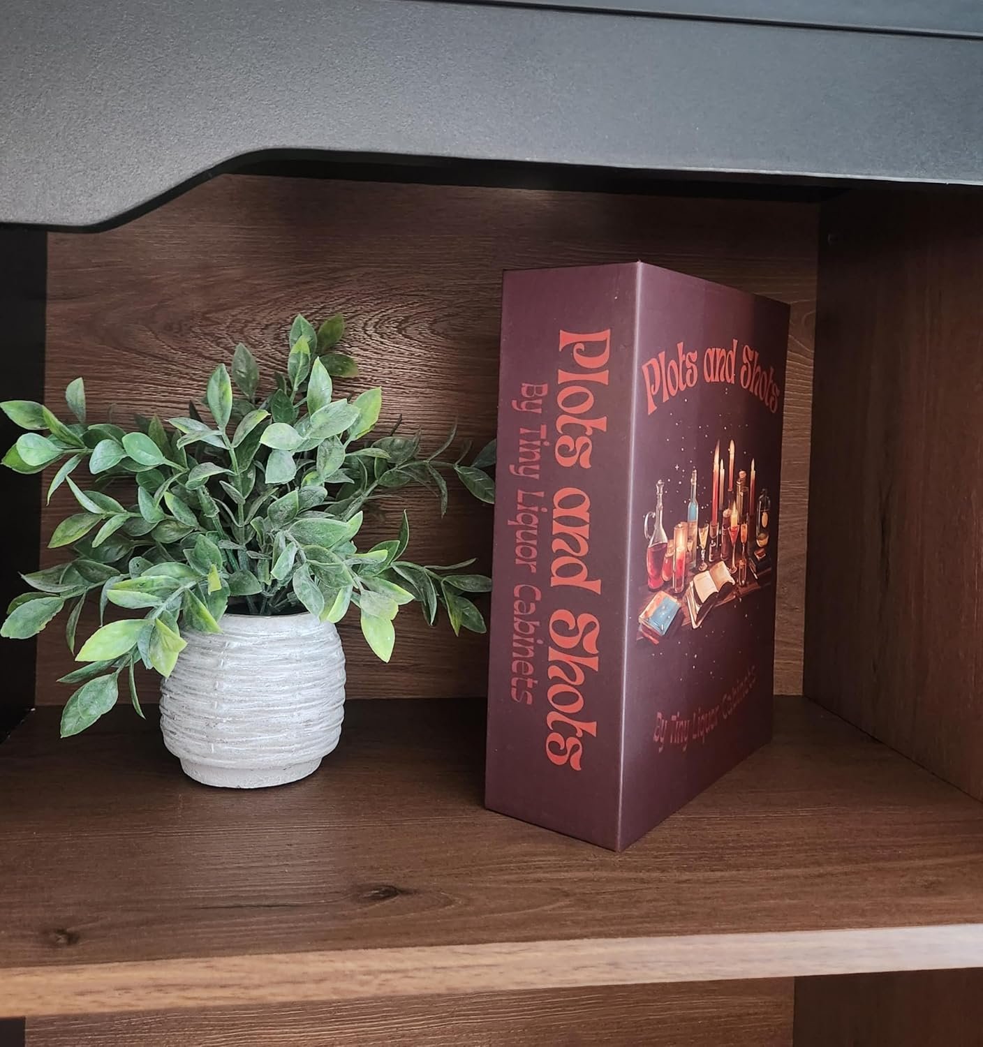 Plots and Shots displayed on a shelf beside a plant